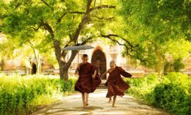 1. Vereinsnewsletter 2025 – Cholesterin, Stress, Arthrose und mehr …