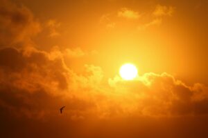 Read more about the article Neues zur Vitamin-D-Debatte: Wie viel brauchen Sie wirklich?