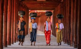 2. Vereinsnewsletter 2025 – Schlaganfall, Roter Reis, Krillöl und mehr …