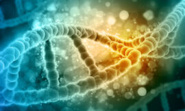 So verlängern Sie Ihre Telomere und damit auch Ihr Leben