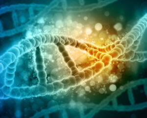Read more about the article So verlängern Sie Ihre Telomere und damit auch Ihr Leben