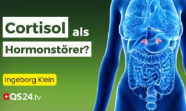 Die Rolle von Cortisol & Co: Hormonelles Gleichgewicht für Frauen | Erfahrungsmedizin