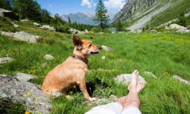 3. Vereinsnewsletter 2025 – Heuschnupfen, Bluthochdruck, Roter Reis und mehr …