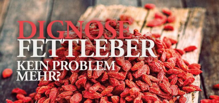 Read more about the article DIAGNOSE FETTLEBER – Kein Problem mehr?